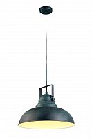 подвесной светильник arte lamp martin a5213sp-1bg в Череповце