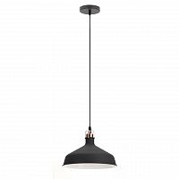 подвесной светильник эра loft pl2 bk/rc в Череповце