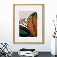 картина: exotic plants of the world №14, 1815г. в Череповце