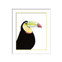постер toucan разноцветный в Череповце