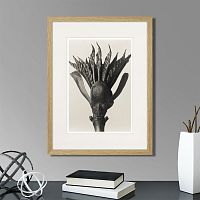 картина: botanical philosophy of forms №8, 1912г. в Череповце