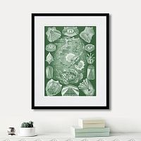 картина: art forms of nature №5, 1897г. в Череповце