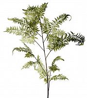 декор fl12056 (giant fern) в Череповце