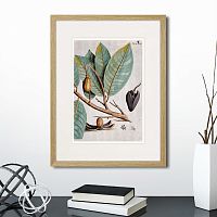 картина: exotic plants of the world №5, 1815 (ii) в Череповце