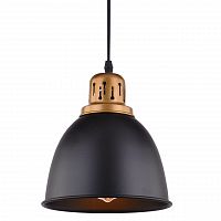 подвесной светильник arte lamp eurica a4245sp-1bk в Череповце