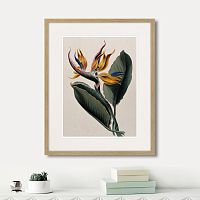 картина: exotic plants of the world №4, 1815г. в Череповце