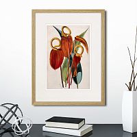 картина: exotic plants of the world №15, 1815г. в Череповце