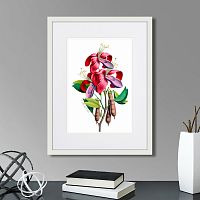 картина: caribian flora pink and purple flower, 1740г. в Череповце