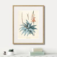 картина: fragmenta botanica №7, 1809г. в Череповце
