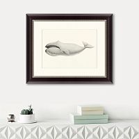 картина: bowhead whale (balaena mysticetus), 1856 в Череповце