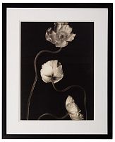 постер с паспарту в раме gentle sepia ver. 2 в Череповце